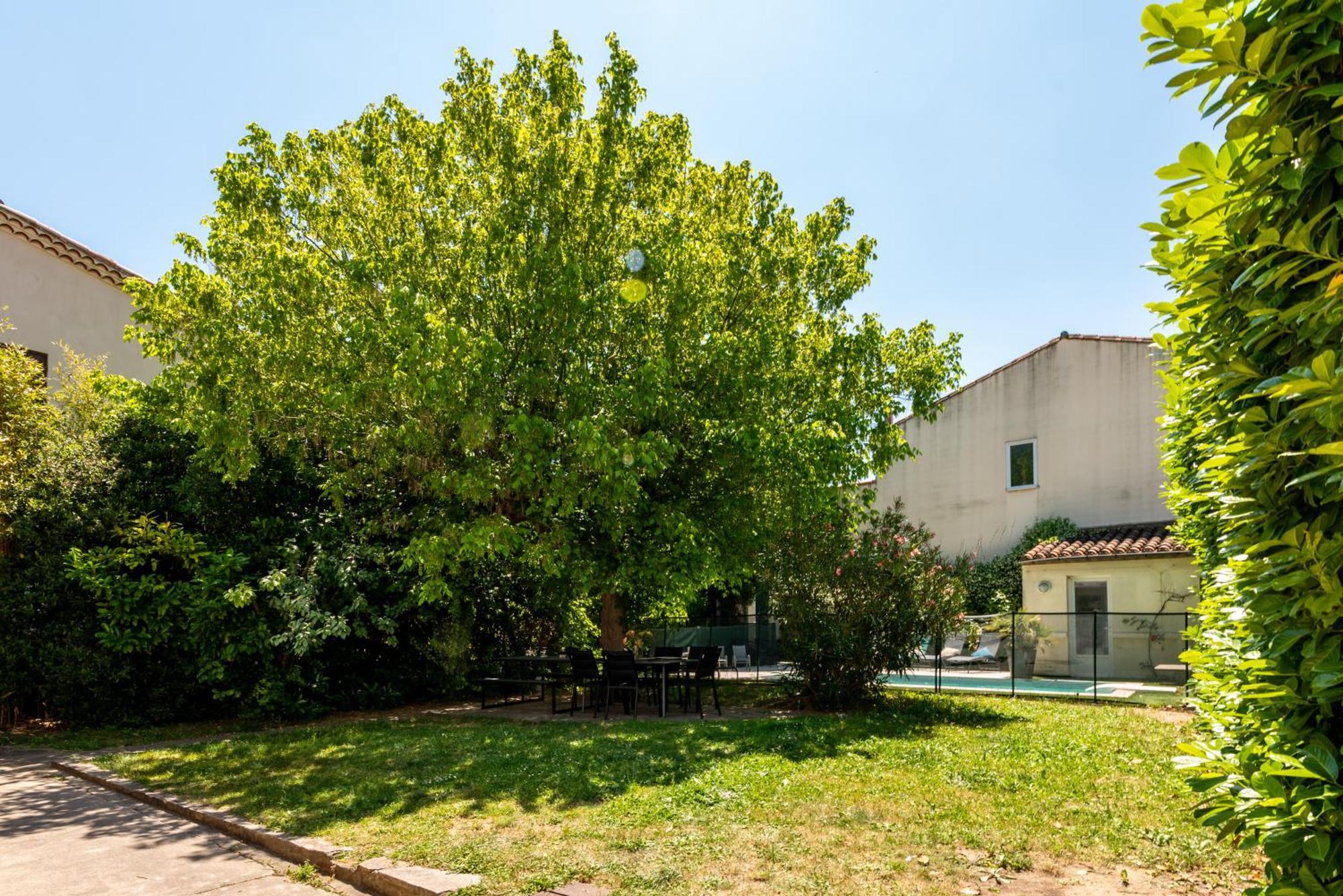 Villa La Casa Grande - Piscine - Wifi - Parking Carcassonne Esterno foto